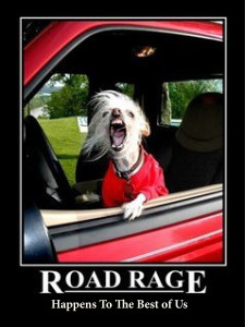 road rage dog