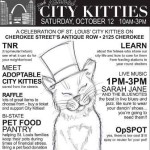 city kitty